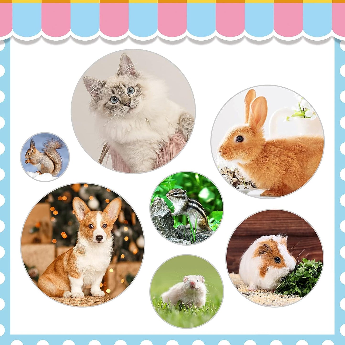Rabbit Grooming Kit, Rabbit Brush for Shedding with Bunny Nail Clipper, Rabbit Nail Trimmers with Pet Combs for Hamster Guinea Pig Ferret by KALAMANDA
