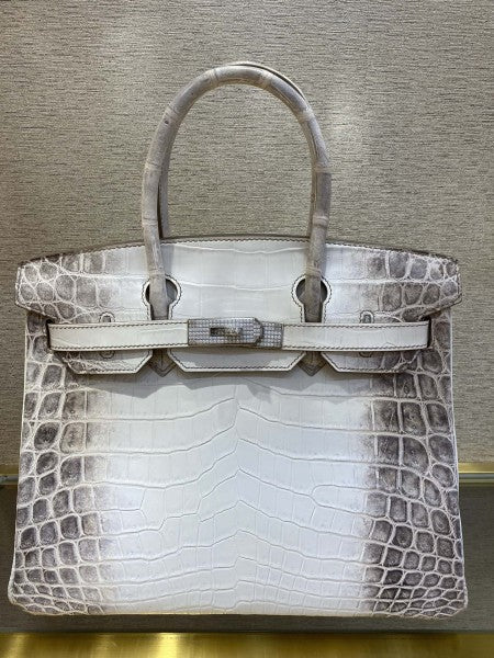 Herm猫s Himalaya Birkin 30 Bag