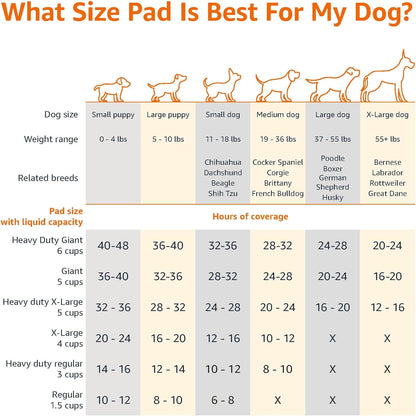 Amazon Basics Leak-Proof Dog and Puppy Potty Training Pee Pads with Quick-Dry 5-Layer Super Absorbent Surface for Dog Training, Floor Protection, Regular Size 22x22", Blue & White, 50 Count