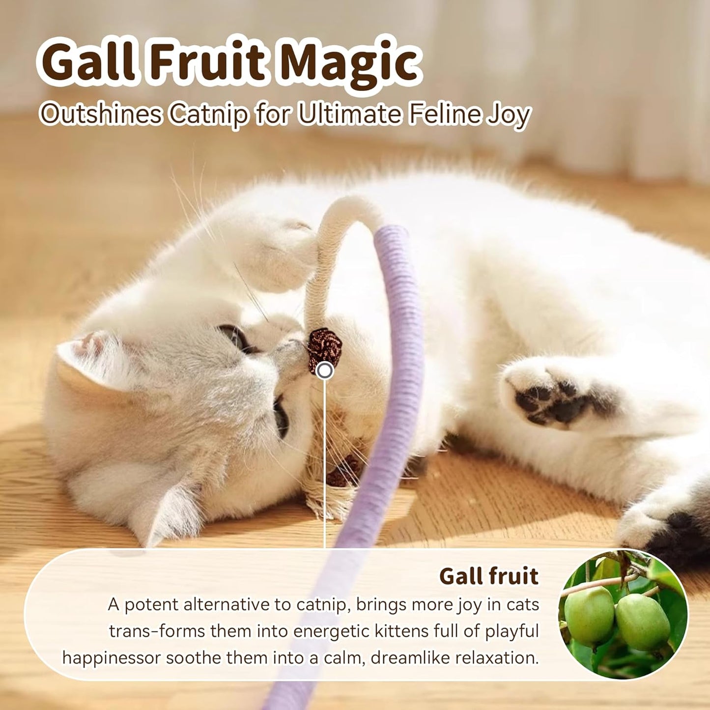 Cat Toys for Indoor Cats, Chew Ropes 3Pcs & Silvervine Stick 1Pcs with Gall Fruit, Refillable Catnip, Interactive Kitten Toys & Teething Toys, Safe Teeth Cleaning for All Breeds (19.5 Inches)