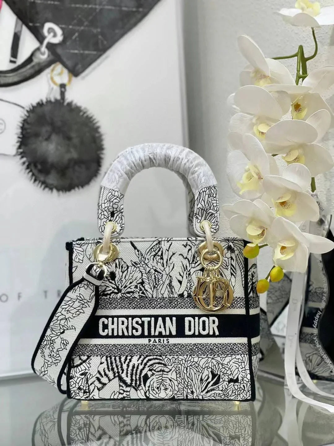 Mini Lady Dior Bag