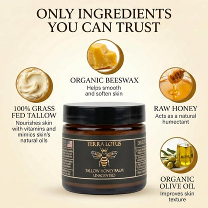 Terra Lotus - Organic Grass-Fed Beef Tallow Balm with Raw Honey - Moisturizing Cream for Soft, Smooth Skin - Handmade All-Natural Moisturizer (2 Oz, Unscented)
