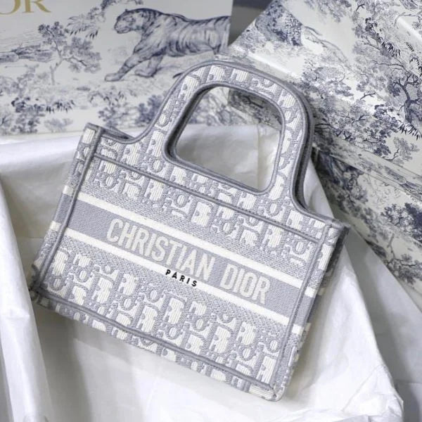 Christian Dior Mini Book Tote Bags For Women